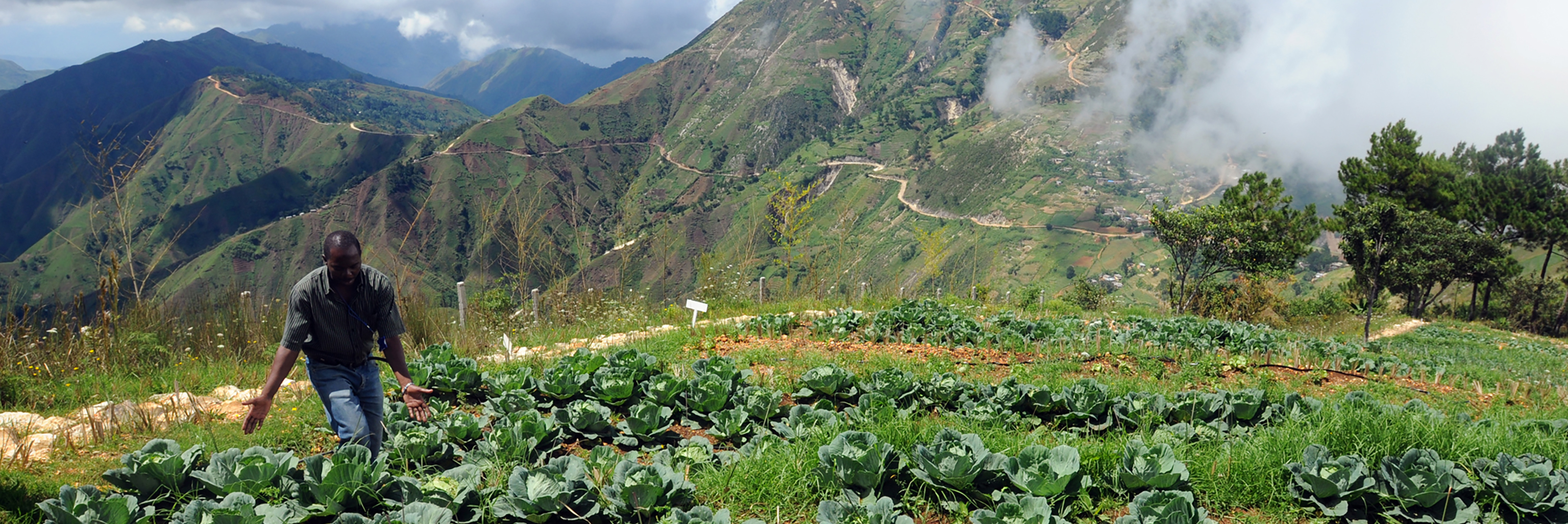 This text appears when someone is browsing using assistive technologies.